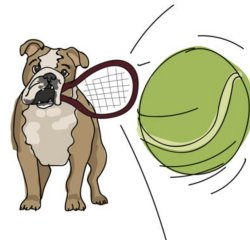 Bulldogs Tennis